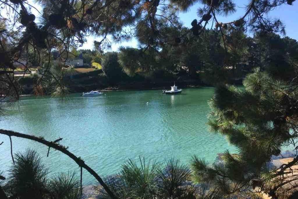 L'Olivier Du Cabellou, A 900 M Des Plages Concarneau Exterior foto