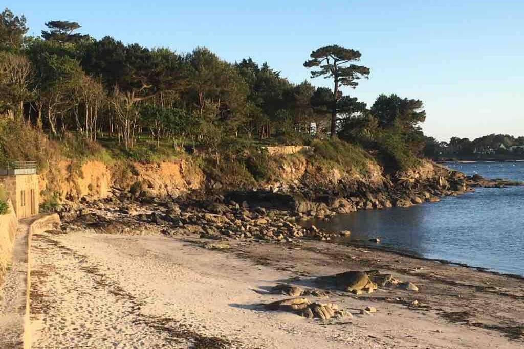 L'Olivier Du Cabellou, A 900 M Des Plages Concarneau Exterior foto