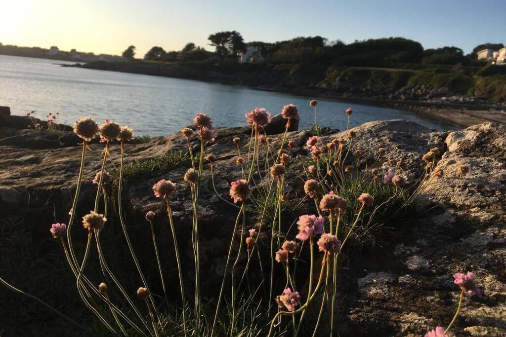L'Olivier Du Cabellou, A 900 M Des Plages Concarneau Exterior foto